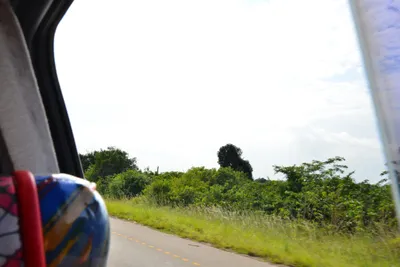 DSC_4643 (Large).JPG